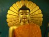 佛塔大殿内的释迦牟尼佛法像（二）